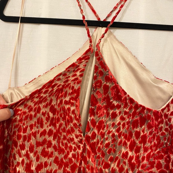 Olivaceous Red Velvet Cheetah Dress - Picture 10 of 13